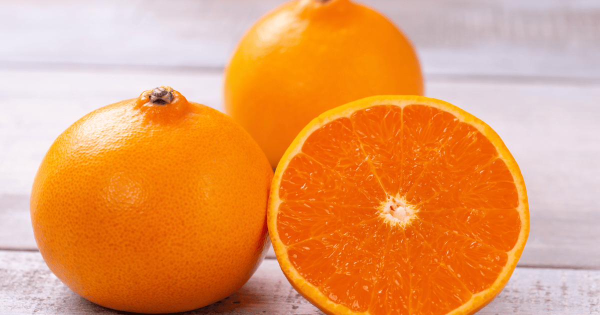 せとか収穫時期徹底解説：旬の時期、選び方、食べ方までプロが伝授