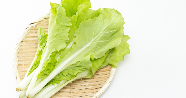 山東菜（べか菜）の食べ方：特徴、絶品レシピ、旬、栄養、保存法を徹底解説