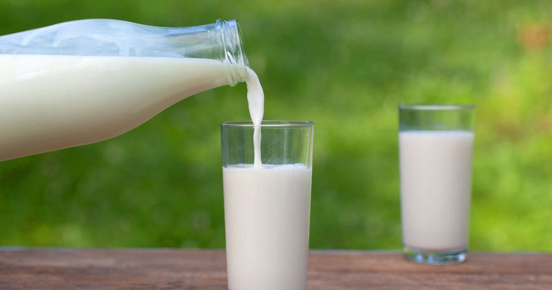 牛乳開封後の保存期間を徹底解説！賞味期限切れでも飲める？