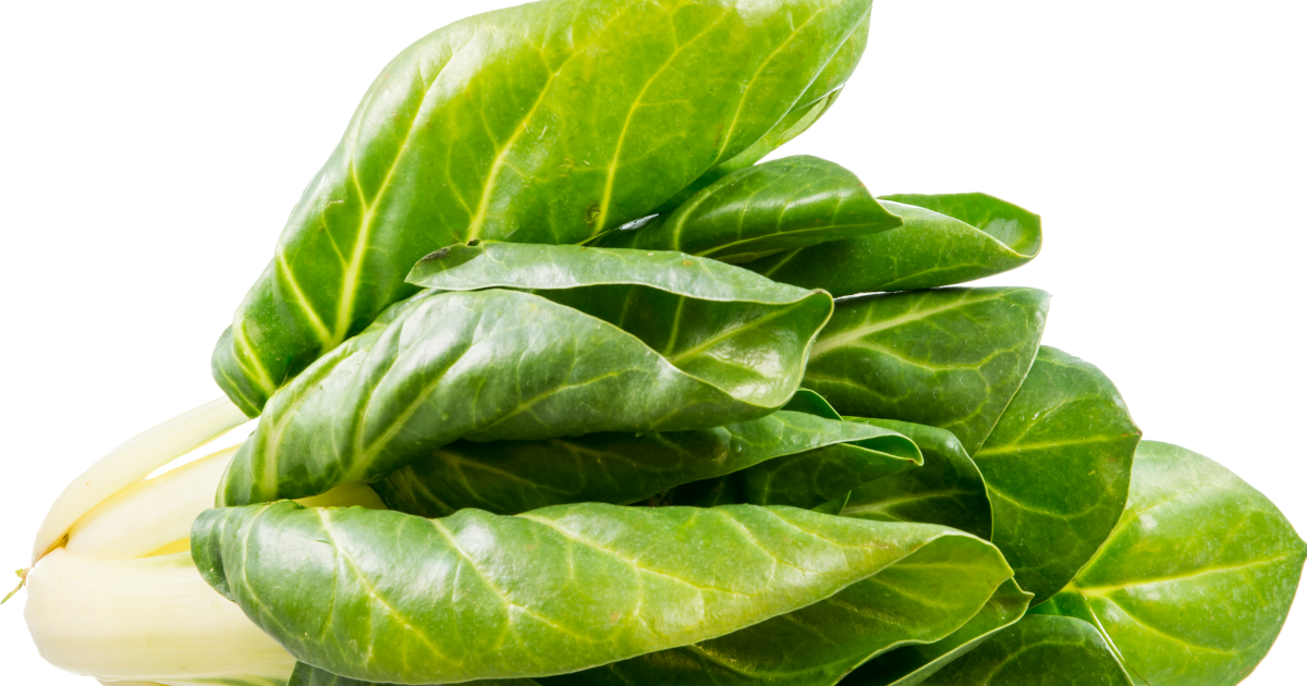 ビタミン菜とは：特徴、栽培方法、絶品レシピを徹底解説