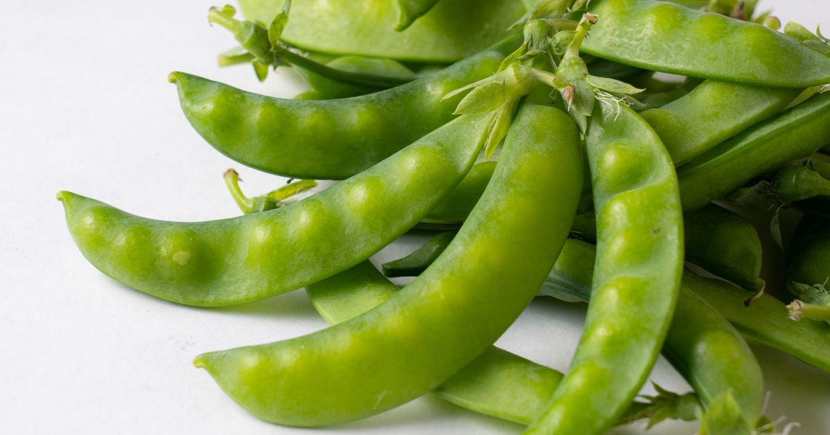 スナップエンドウを長持ちさせる保存術：冷蔵・冷凍でシャキシャキ食感をキープ！