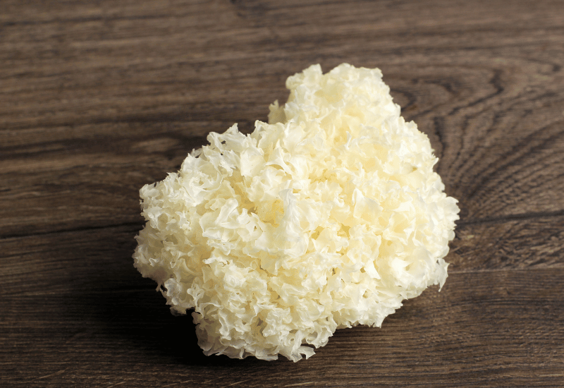 美と健康の源泉【白きくらげ】完全ガイド