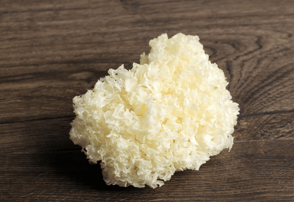 美と健康の源泉【白きくらげ】完全ガイド