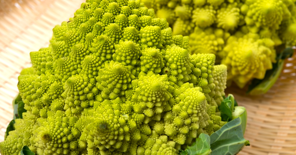 野菜 ロマネスコ
