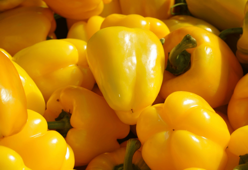 食卓を彩る太陽の色！黄色パプリカが持つ魅力と栄養を徹底解剖