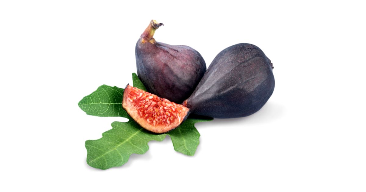 無花果の育て方