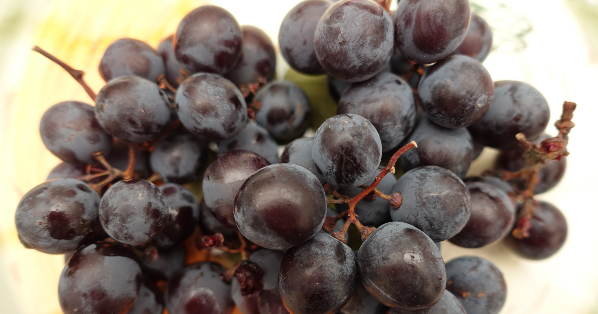 種なしぶどうの作り方