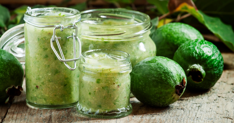 フェイジョアアポロ：一本でも実る？栽培記録と成功の秘訣