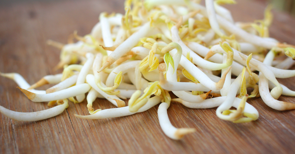 冷凍もやしの使い方