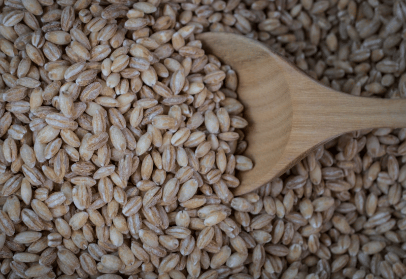 もち麦は本当にグルテンフリー？アレルギーリスクと安全な選び方・食べ方を徹底解説