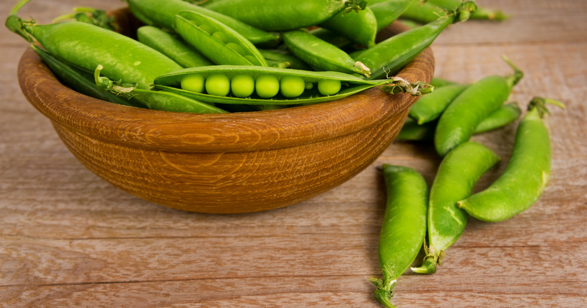 インゲン豆 茹で時間