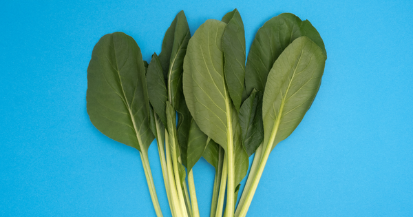 小松菜 茎