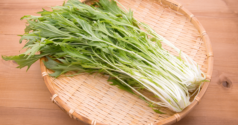 水菜とは？京野菜のルーツから栄養、調理法まで徹底解説