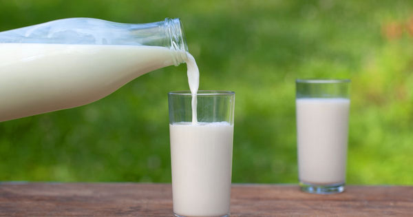 牛乳は体にいい？知っておきたい牛乳の栄養と効果