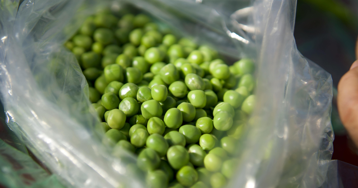 グリンピースを長く楽しむ！鮮度を保つ冷凍保存術