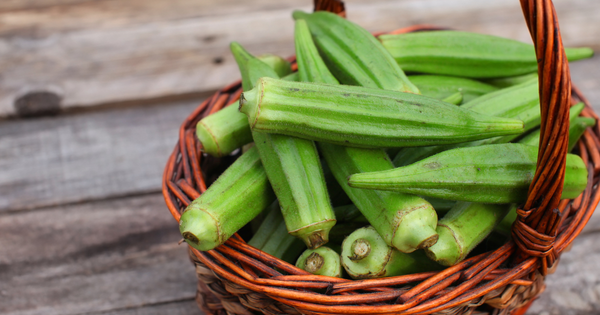 オクラ食べ過ぎるとどうなる？適切な量と効果的な食べ方