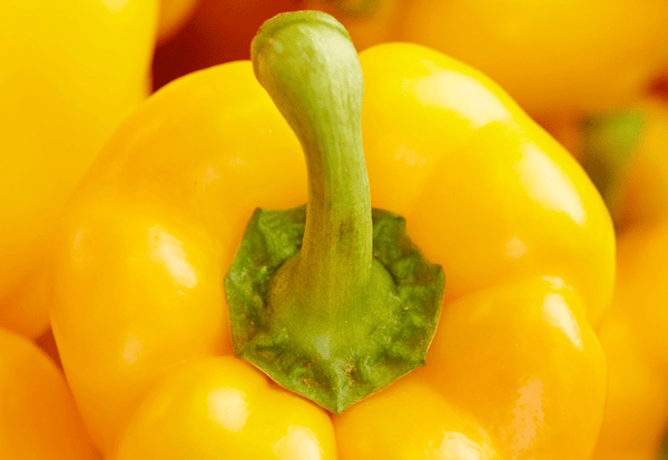 パプリカ冷凍保存術：鮮度と甘みを長持ちさせる方法