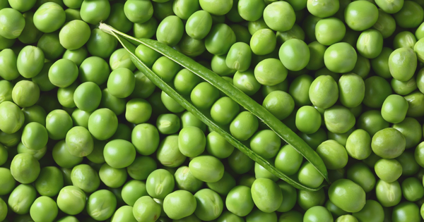 グリーンピースとえんどう豆：違いを知って食卓を豊かに