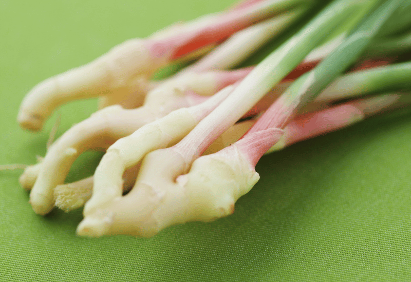 新生姜の魅力：旬、選び方、保存方法を徹底ガイド