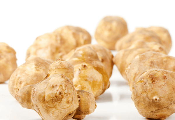 菊芋の保存方法｜鮮度を保つための最適な方法とは？