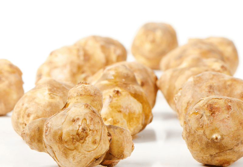 菊芋の保存方法｜鮮度を保つための最適な方法とは？