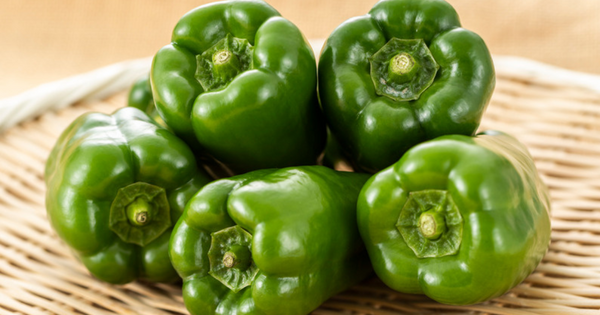 ピーマン の育て方