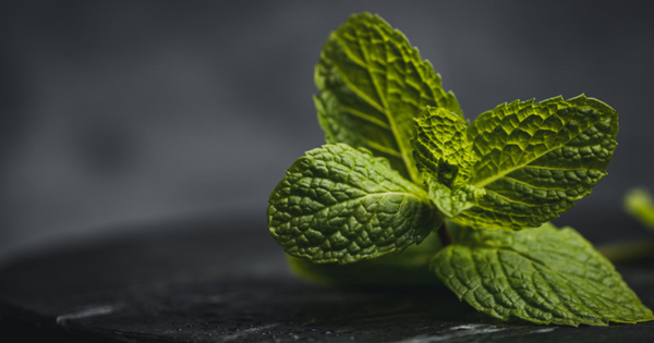 アップルミントとは