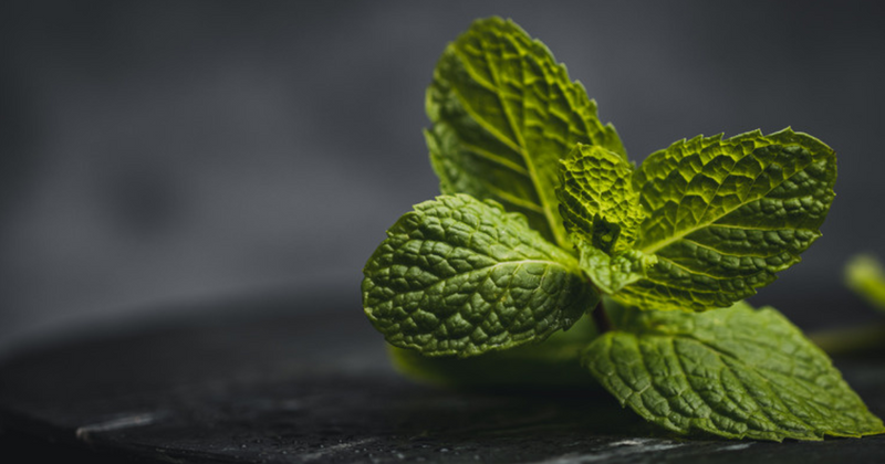 アップルミントとは