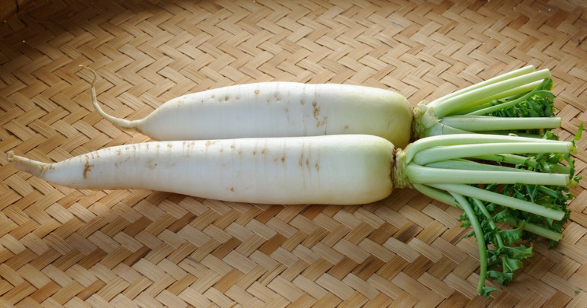 大根種まき時期