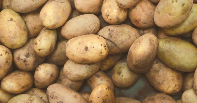 じゃがいもの離乳食