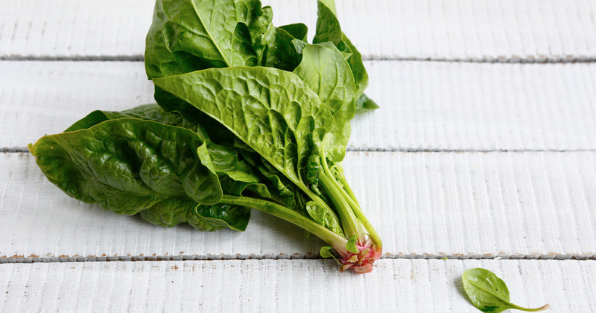 ほうれん草 シュウ酸