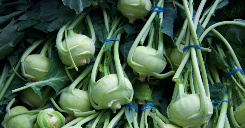 コールラビとは