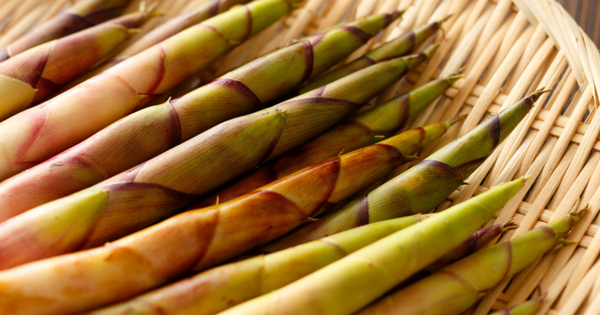 真竹 アク抜きしない