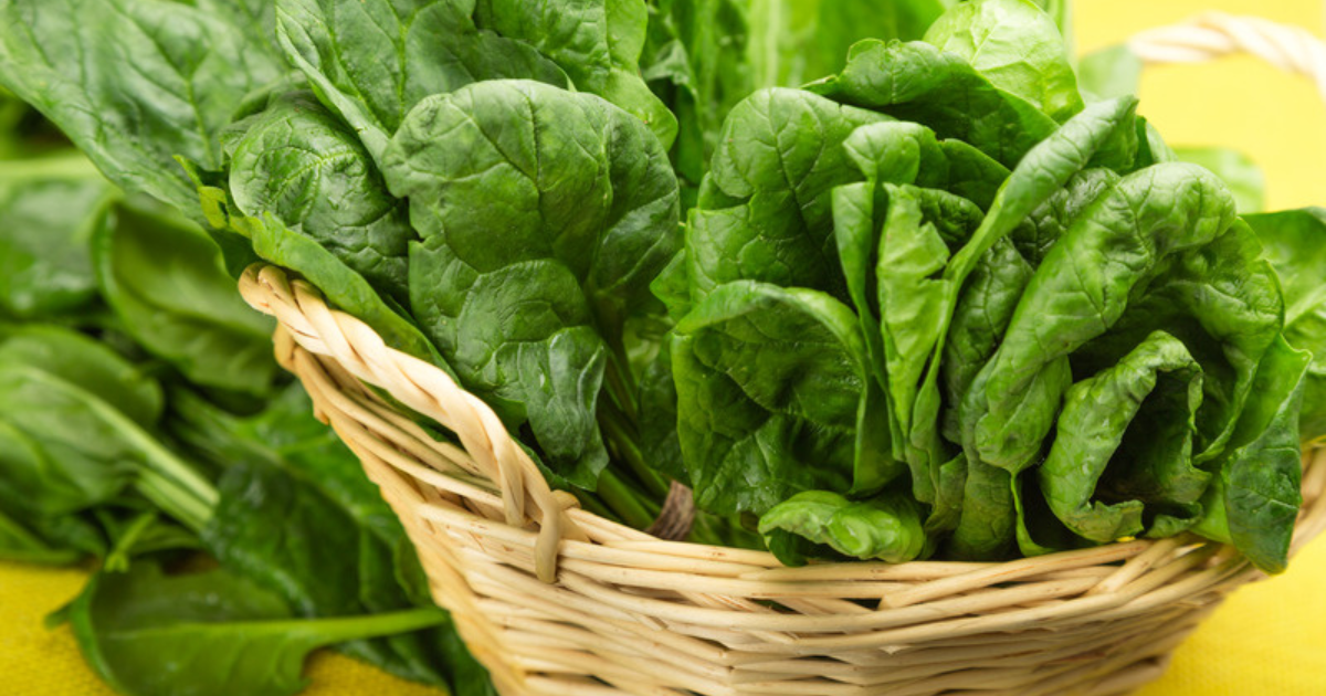 ほうれん草 保存冷凍