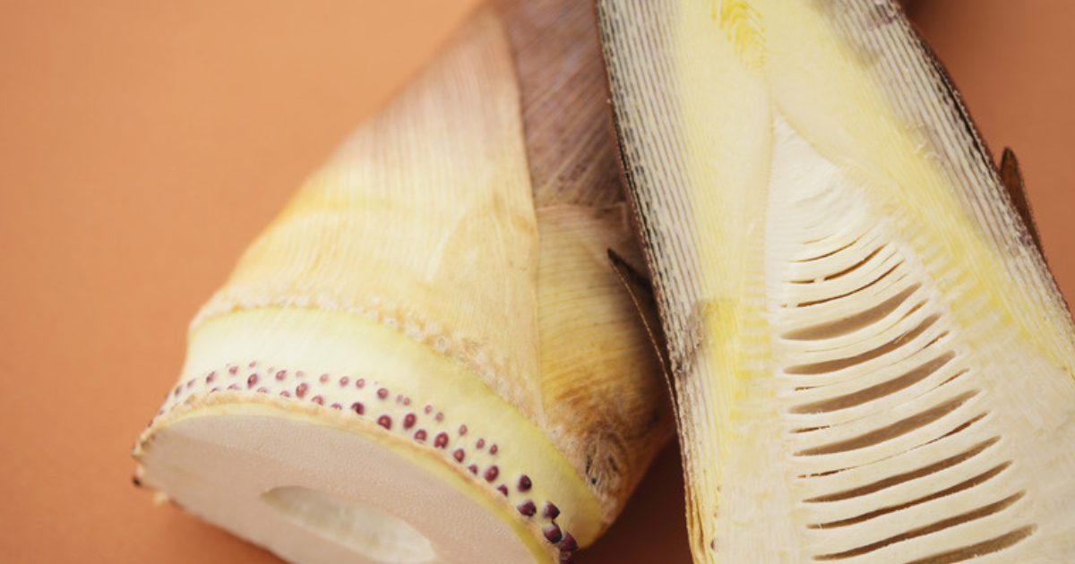 たけのこ保存冷凍