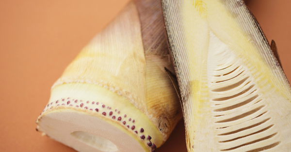 たけのこあく抜き 米ぬか