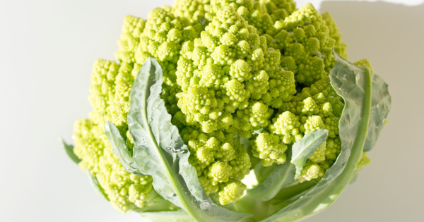 ロマネスコ 野菜