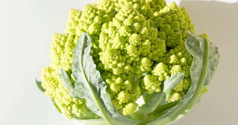 ロマネスコ 野菜