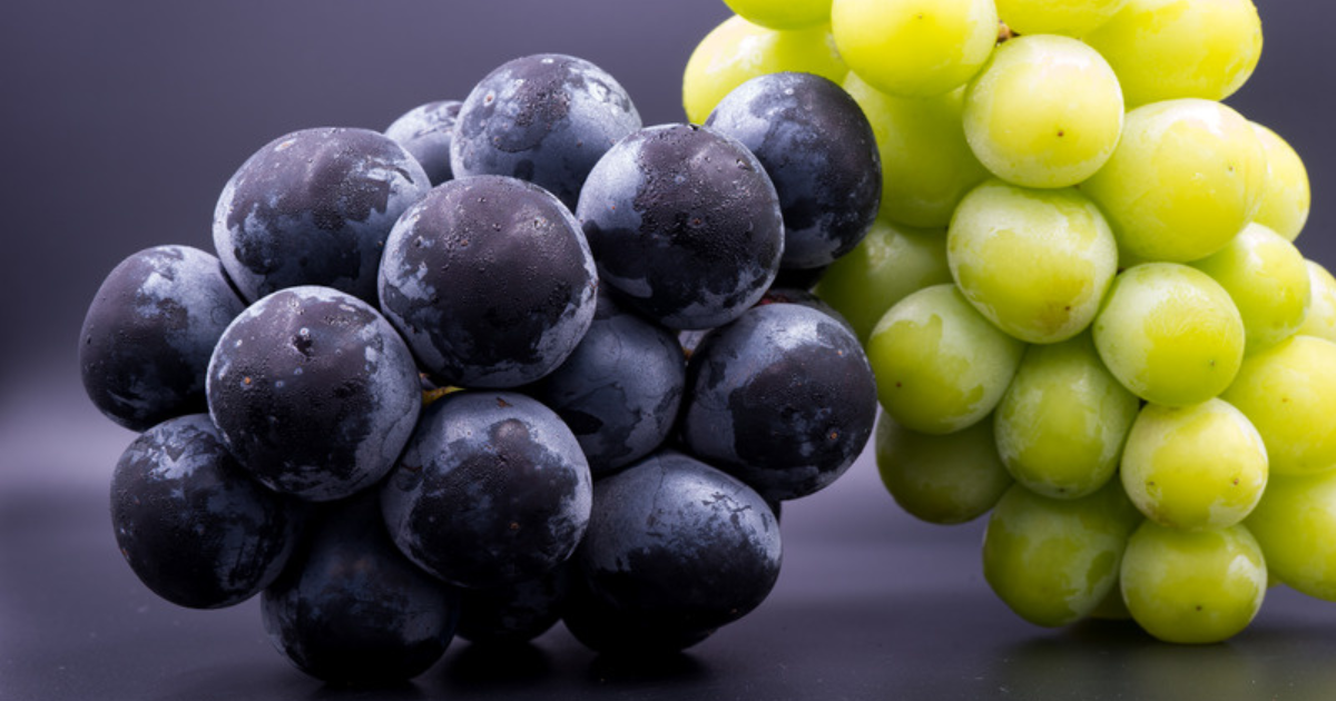 ナガノパープル vs シャインマスカット：価格が高いのはどっち？徹底比較ガイド