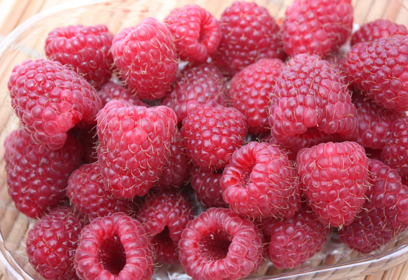 フランボワーズ ラズベリー違い