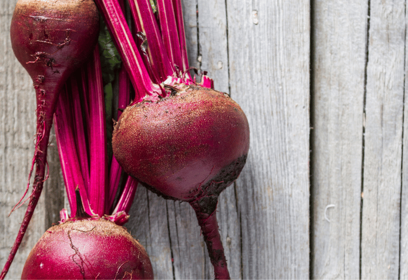 ビーツを冷凍保存！栄養満点なスーパーフードを長持ちさせる完璧ガイド