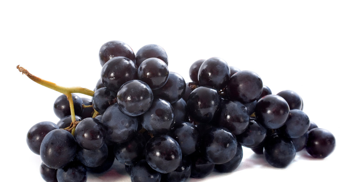 岡山県が生んだ宝石！オーロラブラックぶどうの魅力に迫る