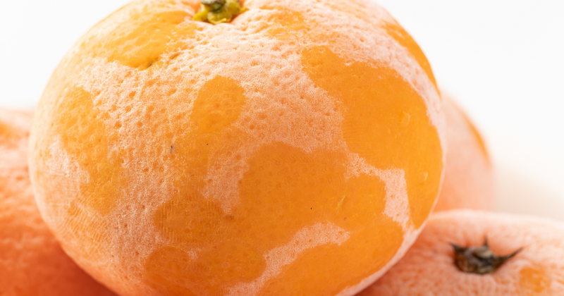 懐かしの味！自宅で簡単 冷凍みかんの作り方
