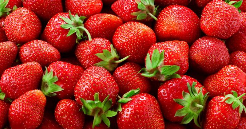 イチゴ露地栽培：甘くて美味しいイチゴを育てるための完全ガイド