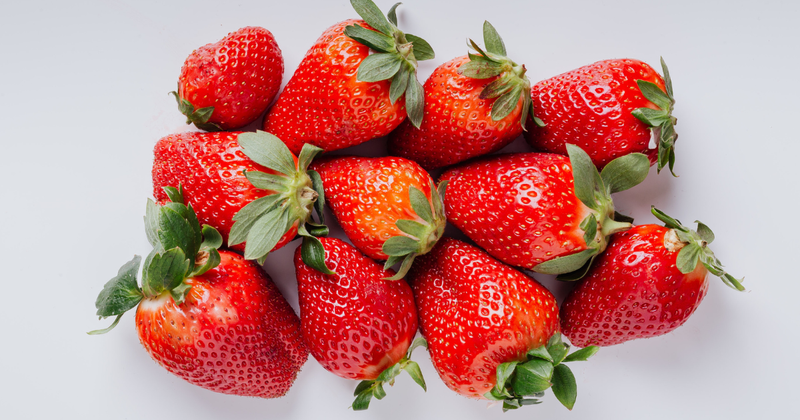 苺栽培を悩ます害虫の正体と対策：三大害虫からアブラムシ、ゾウムシまで徹底解説