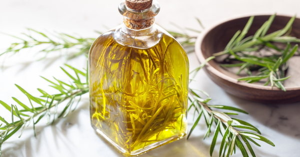 ローズマリーとは：知っておきたい基本情報と活用方法