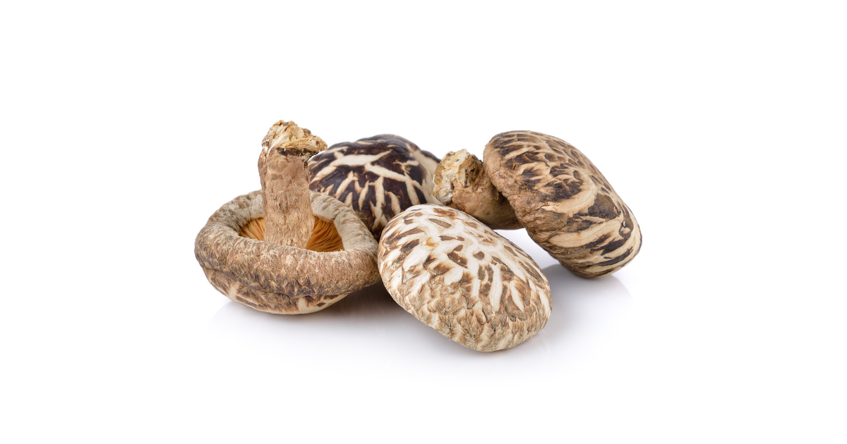 どんこしいたけ 違い