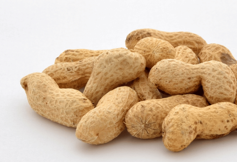 ピーナッツの食べ過ぎ：知っておくべきリスクと適量