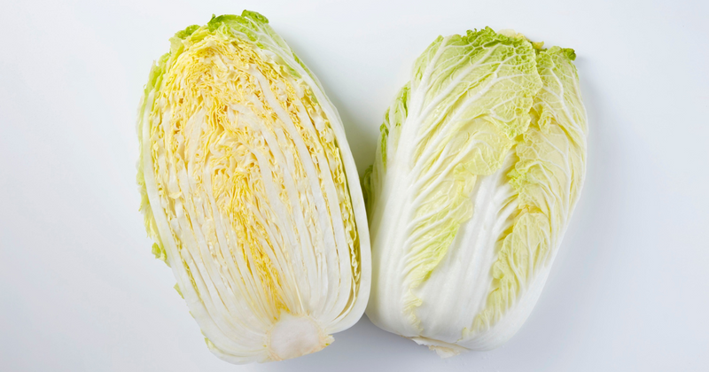 白菜を冷蔵庫で長持ちさせる保存方法｜日持ち期間、選び方、腐敗の見分け方