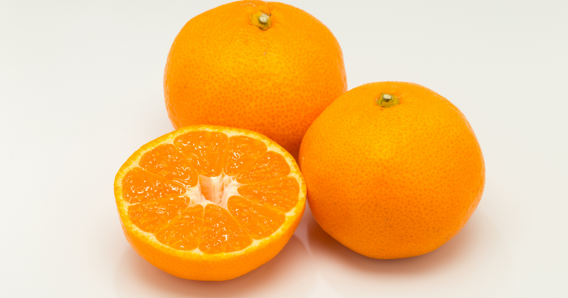 柑橘「天草」を徹底解剖！特徴や旬から美味しい食べ方まで